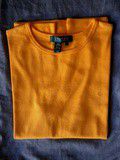 Tee shirt Ralph Lauren 100% coton épais
