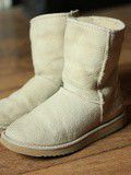 Chaussures ugg – 60 euros